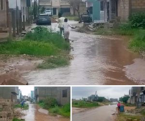 IMG-20251217-WA0007(2)