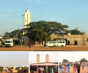 IMG-20260112-WA0002(1)