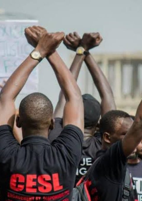 IMG-20260212-WA0010(1)